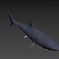 Realistic Great White Shark 3D Model With Lifelike Swimming Pose