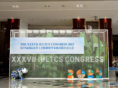 XXXVII IULTCS Congress 2023 Shenzhen Check-in Photo Spot with Green Plants Blue Cartoon Colorful Decorations 3d model
