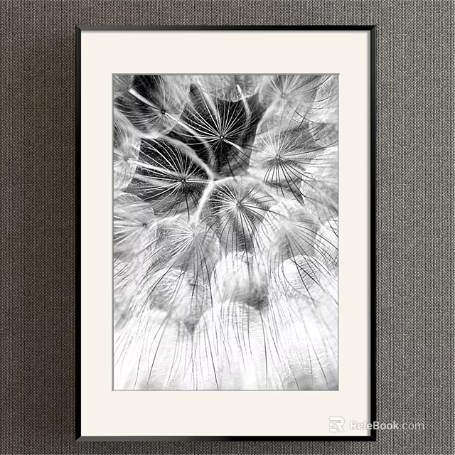 Black and White Framed Plant Painting Featuring Dandelion Seeds and Delicate Fibers 3d model 