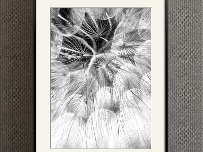 Nordic Plant Painting Grey Bedroom Plant Flower Dandelion Decorative Painting model