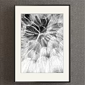 Black and White Framed Plant Painting Featuring Dandelion Seeds and Delicate Fibers