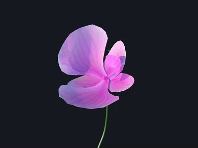 Purple Flower With Textured Petals On Black Background And Green Stem 3d model