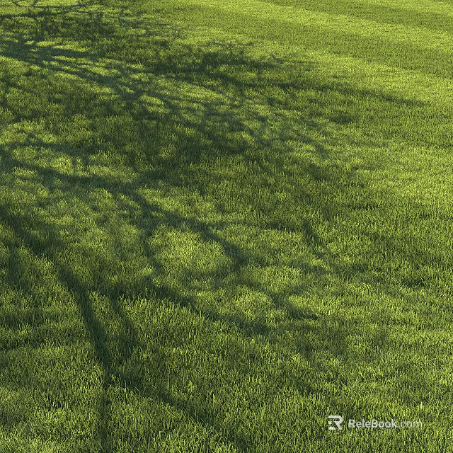 Lush Green Open Grass Meadow With Dappled Tree Shadows In Sunlight 3d model