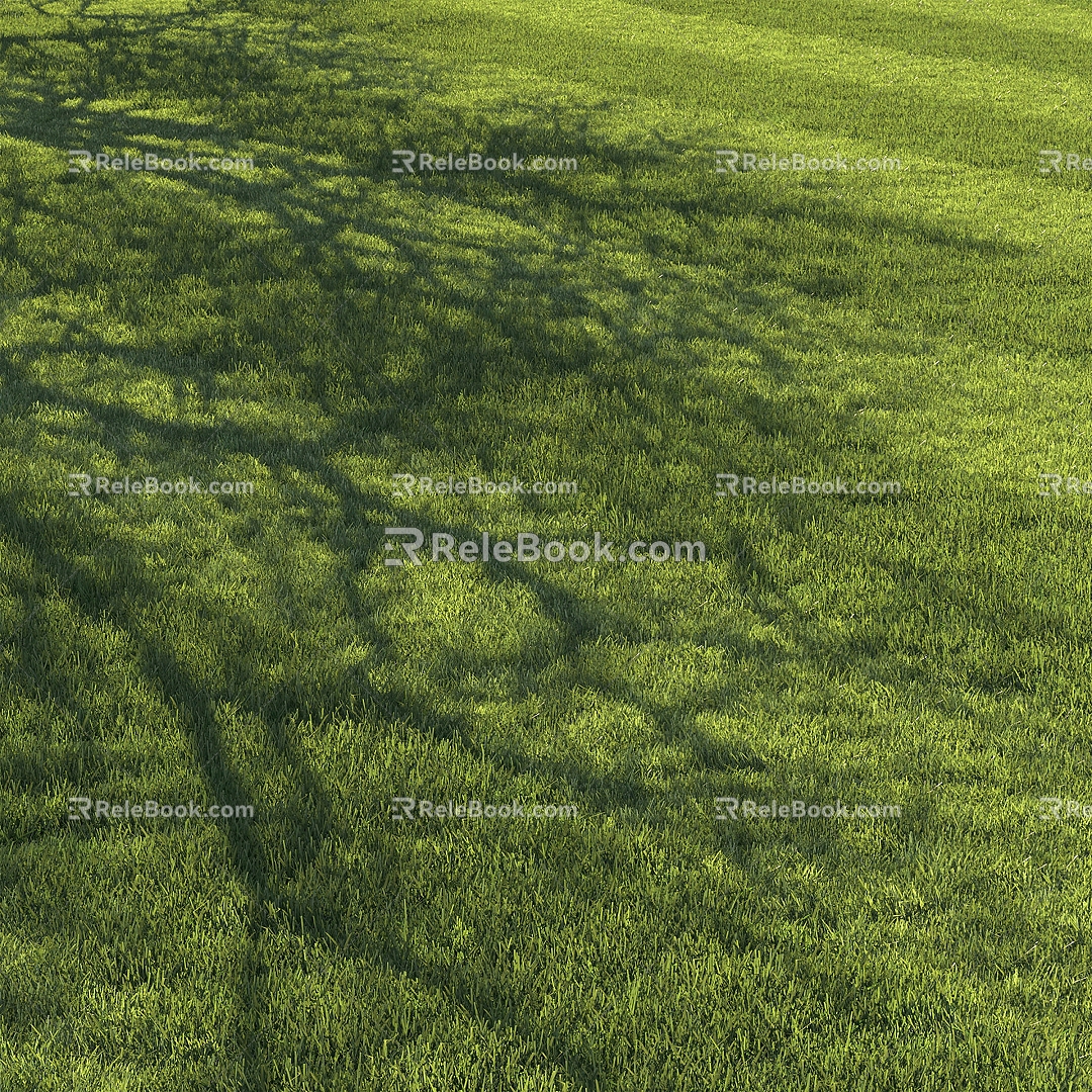 Modern Lawn Green Lawn 3d model