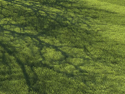 Lush Green Open Grass Meadow With Dappled Tree Shadows In Sunlight 3d model