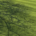 Lush Green Open Grass Meadow With Dappled Tree Shadows In Sunlight 3d model