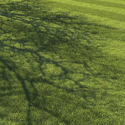 Lush Green Open Grass Meadow With Dappled Tree Shadows In Sunlight 3d model Lush Green Open Grass Meadow With Dappled Tree Shadows In Sunlight 3d model