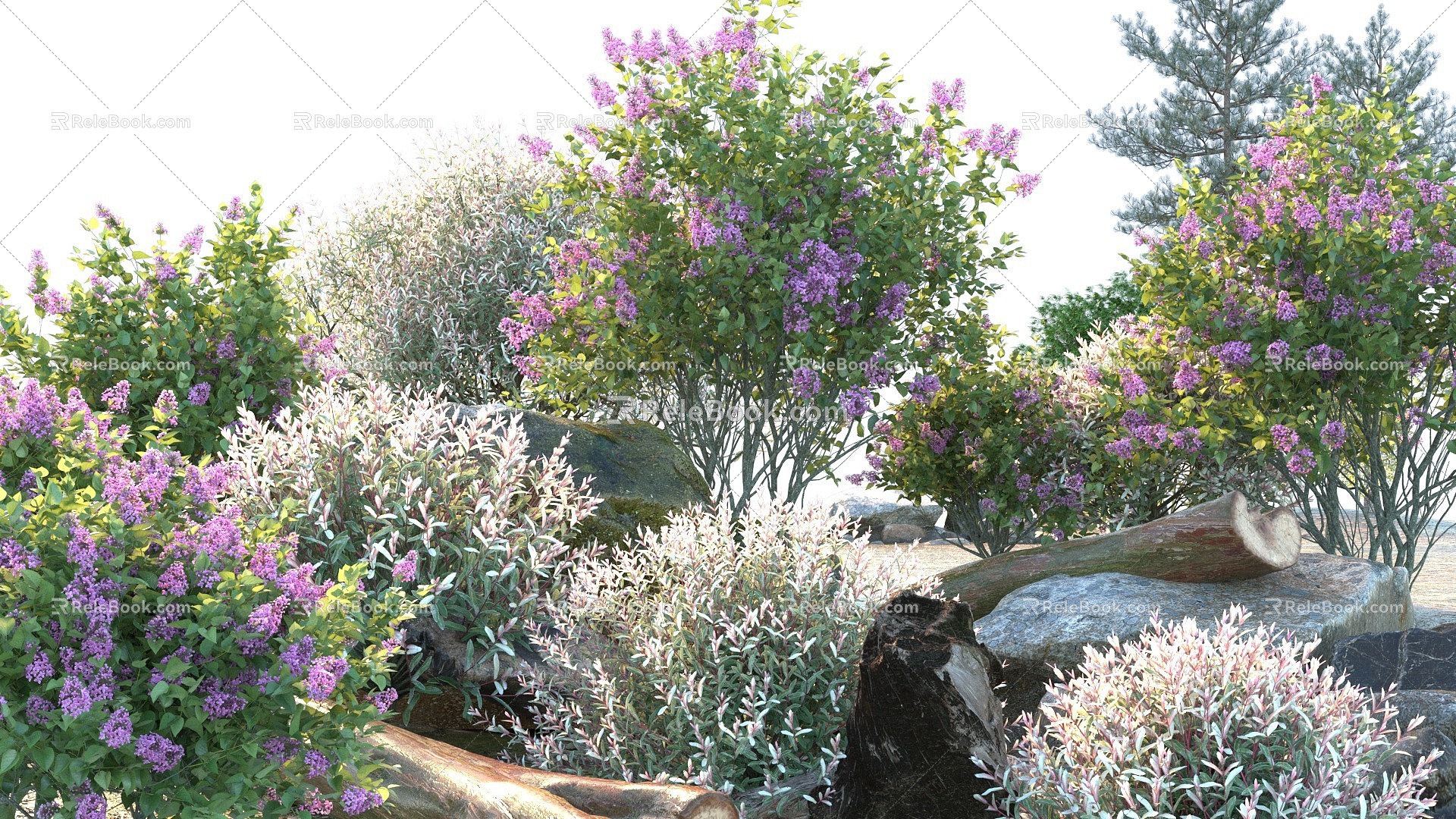 Modern shrubs 3d model