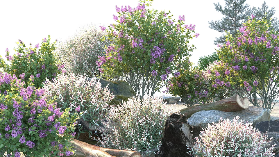 Blooming Shrubs With Purple Flowers And Green Leaves Surrounded By Rocks And Logs 3d model 