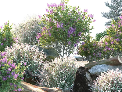 Blooming Shrubs With Purple Flowers And Green Leaves Surrounded By Rocks And Logs 3d model