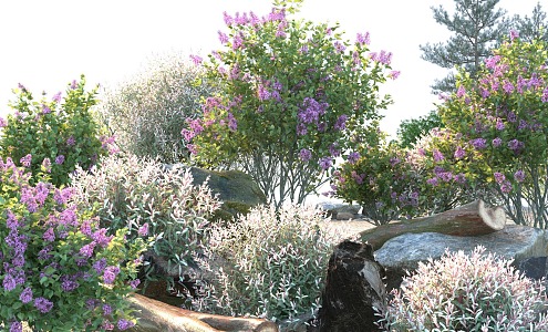 Modern shrubs 3d model