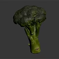 Fresh Vibrant Green Broccoli Vegetable Isolated On Dark Background For Healthy Meals