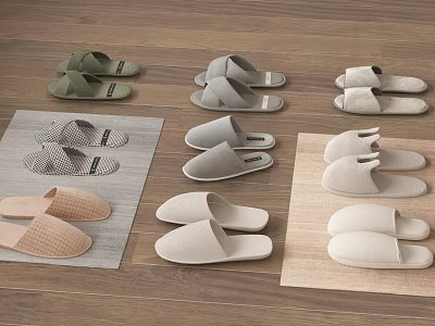 Variety Of Slippers In Different Styles And Colors On Mats Over Wooden Floor 3d model
