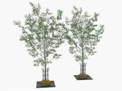 Two Healthy Trees With Support Structures And Green Foliage On Base Platforms 3d model