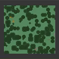 Lush Green Trees In Dense Forest With Green Ground Cover And Brown Trunks