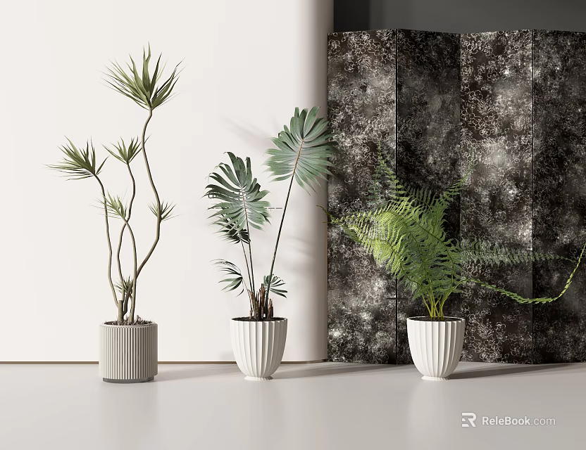 Interior Potted Plants In White Pots With Green Leaves And Dark Decorative Screen 3d model 