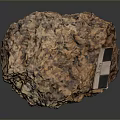 Natural Wood Grain Stone With Rough Surface And 35cm Measurement Tag