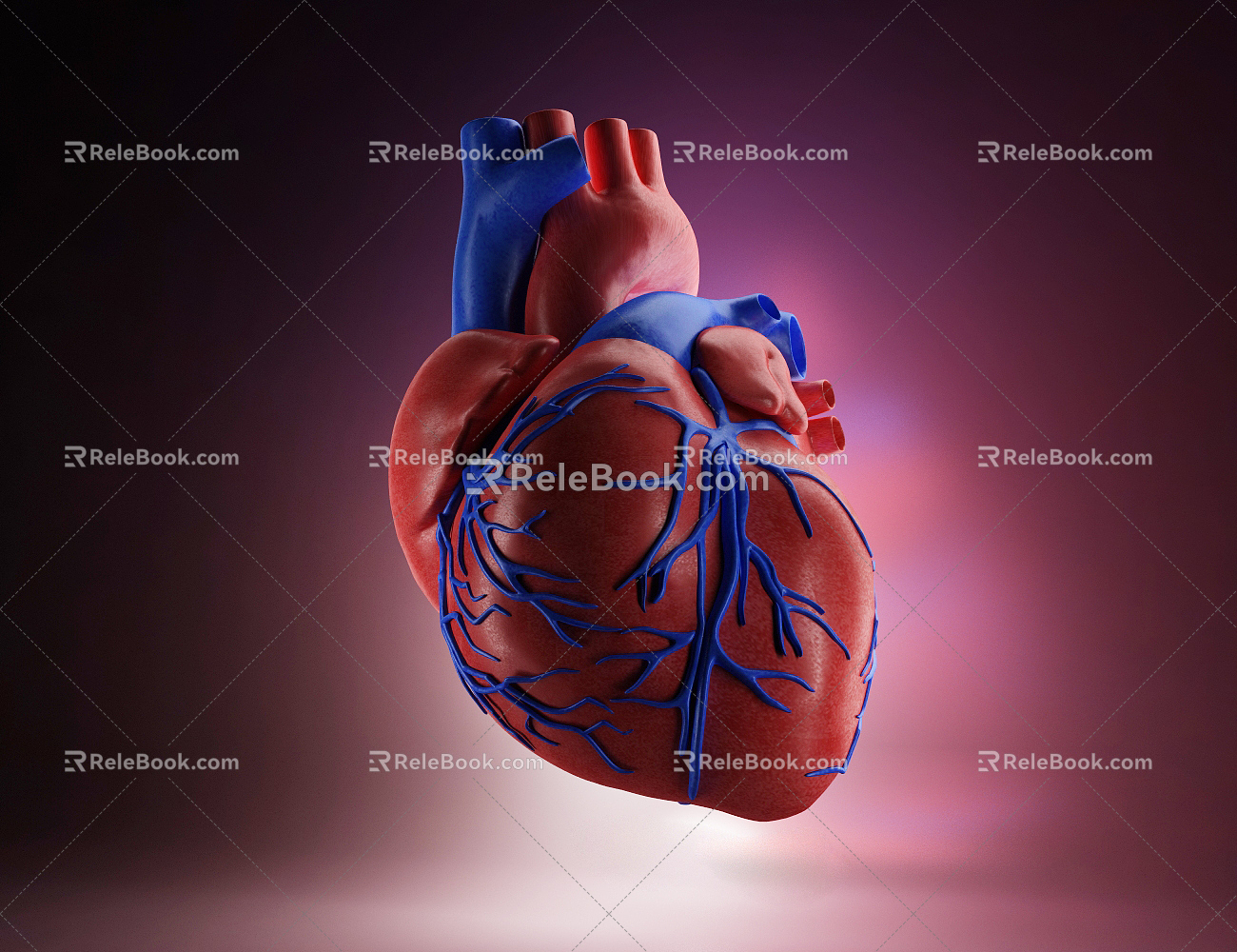 The Modern Heart 3d model