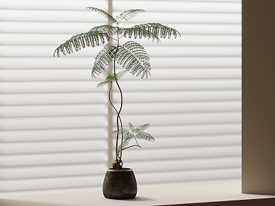 bonsai plant ornaments plant green plants 3d model