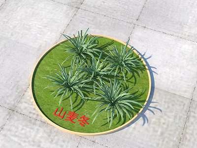 Green Round Lawn With Liriope Plants And Golden Border On Stone Pavement 3d model