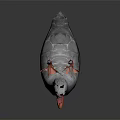 Gray Reptile Lizard With Orange Feet And Snout Standing On Gray Background