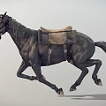 Detailed Black Horse Galloping With Saddle And Bridle In Motion