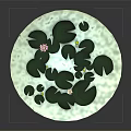 Pink Water Lily Flowers and Green Lily Pads Floating on Calm Water Surface