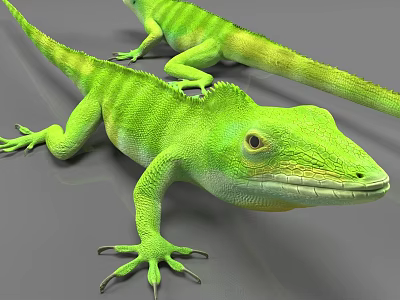 Green Enzard Lizard 3d model