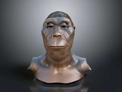 Ape Head Bust Sculpture Carving With Bronze Metallic Texture And Detailed Features 3d model