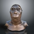 Ape Head Bust Sculpture Carving With Bronze Metallic Texture And Detailed Features