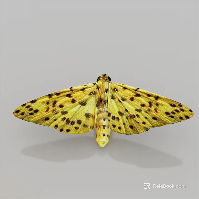 Yellow Moth As Flying Insect With Spread Wings And Black Spots 3d model 