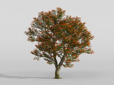 Lush Arbor With Green And Orange Leaves And Brown Trunk On White Background 3d model