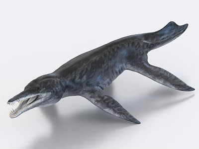 Prehistoric Marine Reptile With Long Snout Sharp Teeth And Flippers 3d model