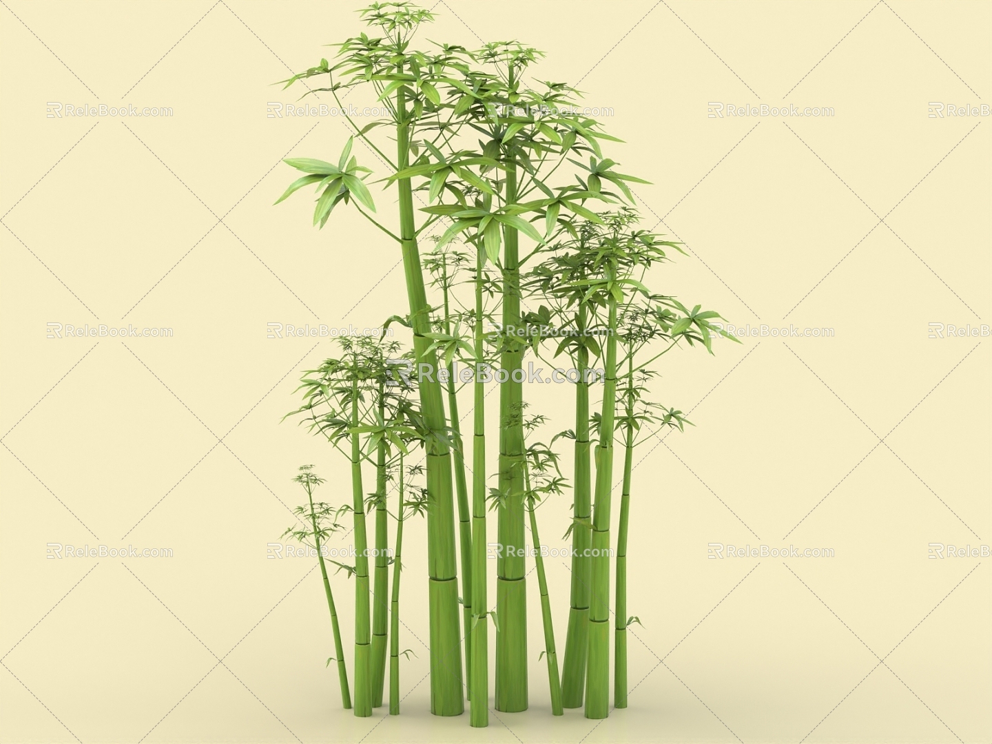 Bamboo Cartoon Bamboo Moso Bamboo Purple Bamboo Xiangfei Bamboo Tortoise Shell Bamboo Plant Bamboo Forest Bamboo Leaves 3d model