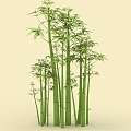 Bamboo Cartoon Bamboo Moso Bamboo Purple Bamboo Xiangfei Bamboo Tortoise Shell Bamboo Plant Bamboo Forest Bamboo Leaves 3d model