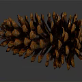 Close Up View Of Brown And Orange Pine Cone With Scaly Texture On Gray Background 3d model