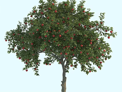 Vibrant Green Leafy Arbor Bearing Plentiful Red Fruits On Branches 3d model