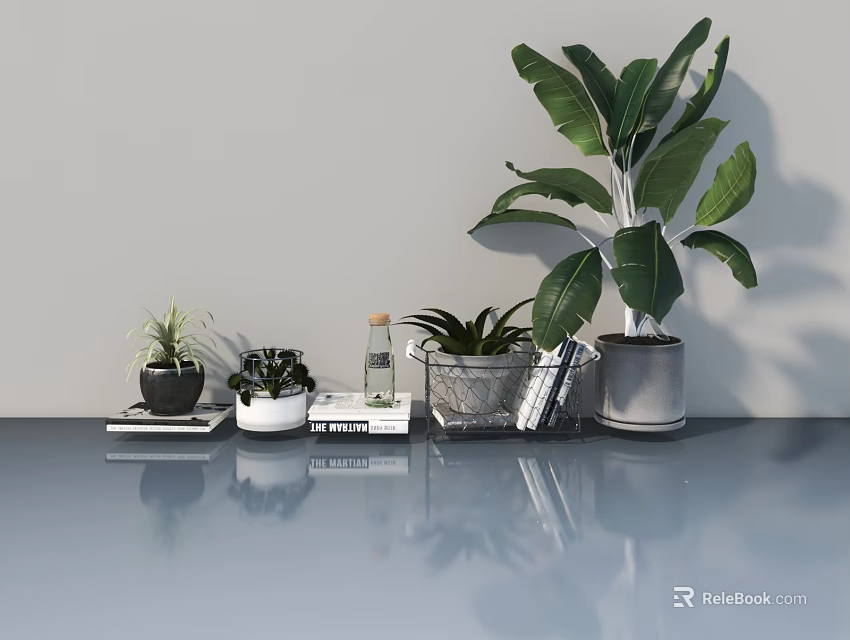 Modern Hinged Door Interior Scene With Green Plants Books And Light Gray Wall 3d model 
