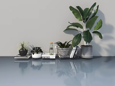 Modern Hinged Door Interior Scene With Green Plants Books And Light Gray Wall 3d model
