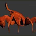 Red Crab Aquatic Animal With Detailed 3D Model Design And Shiny Surface