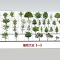 The Modern Tree 3d model
