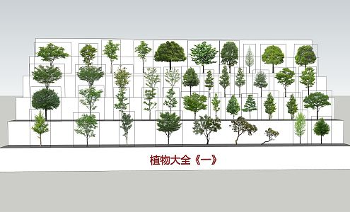 The Modern Tree 3d model