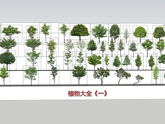 The Modern Tree 3d model