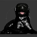 Black Labrador Dog Lying Down With Collar And Tongue Out On Dark Shiny Surface