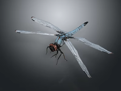 Blue Dragonfly With Transparent Wings And Red Compound Eyes Flying 3d model