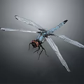 Blue Dragonfly With Transparent Wings And Red Compound Eyes Flying 3d model