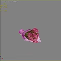 Fresh White Tulips Bouquet Wrapped In Newspaper On Dark Background