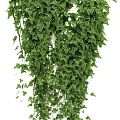 Three Lush Green Hanging Vines With Cascading Leaves For Indoor Decor