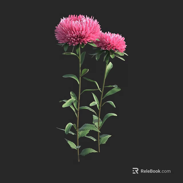 Elegant Pink Flowers With Green Leaves And Stems For Vase Decoration 3d model 