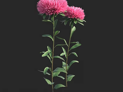 Elegant Pink Flowers With Green Leaves And Stems For Vase Decoration 3d model